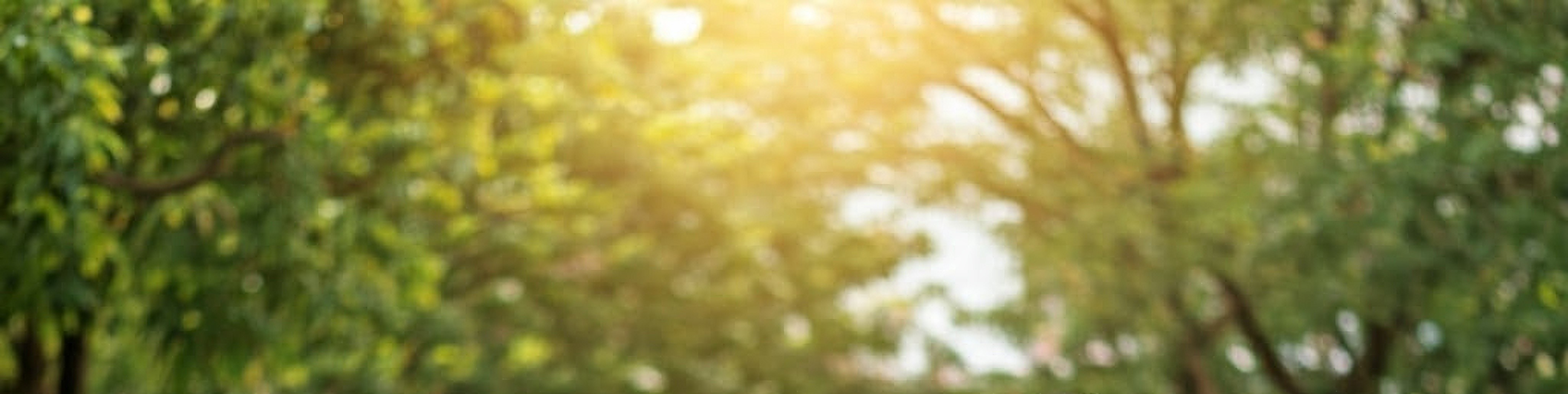IPR Background Image